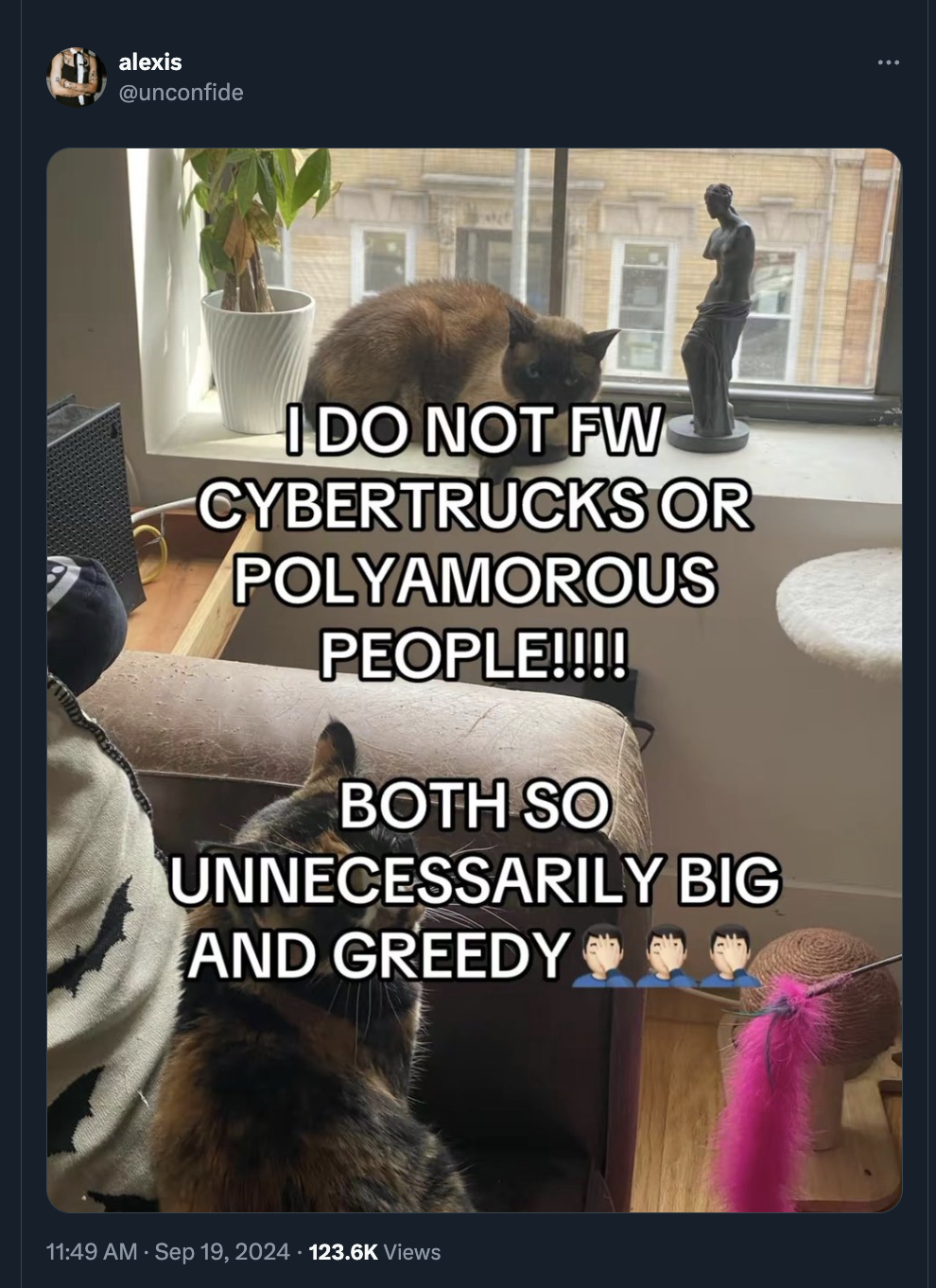 photo caption - alexis I Do Not Fw Cybertrucks Or Polyamorous People!!!! Both So Unnecessarily Big And Greedy Views